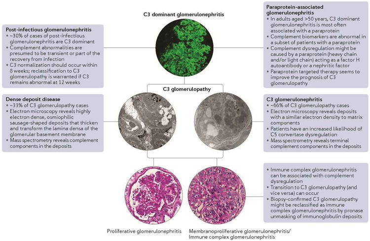 【佳学基因检测】C3肾小球病的基因解码基因检测